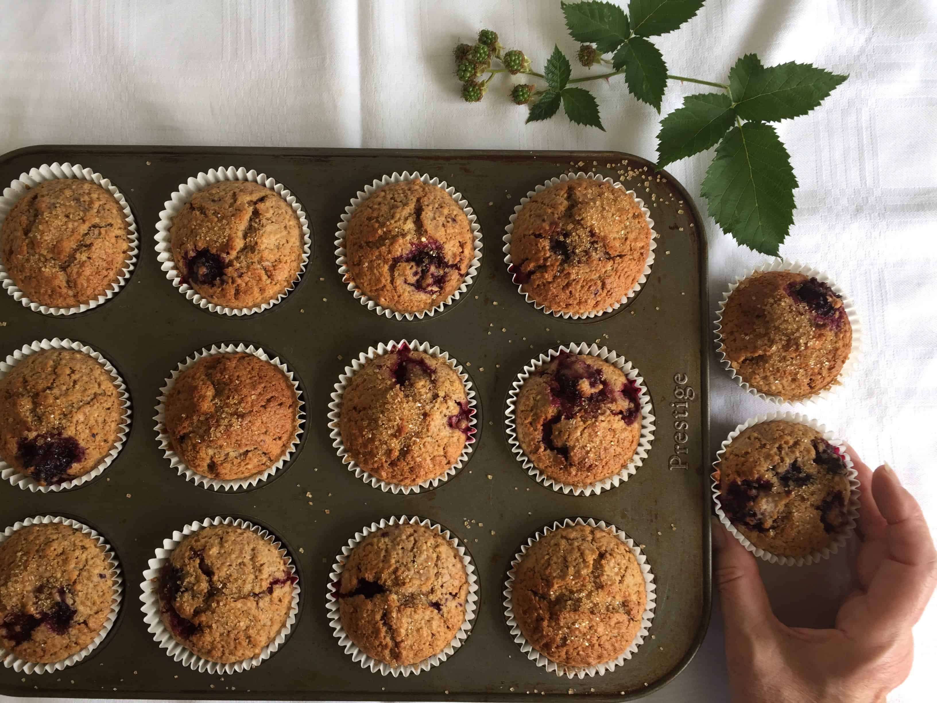 Blackberry and Oat muffins using Spelt flour.