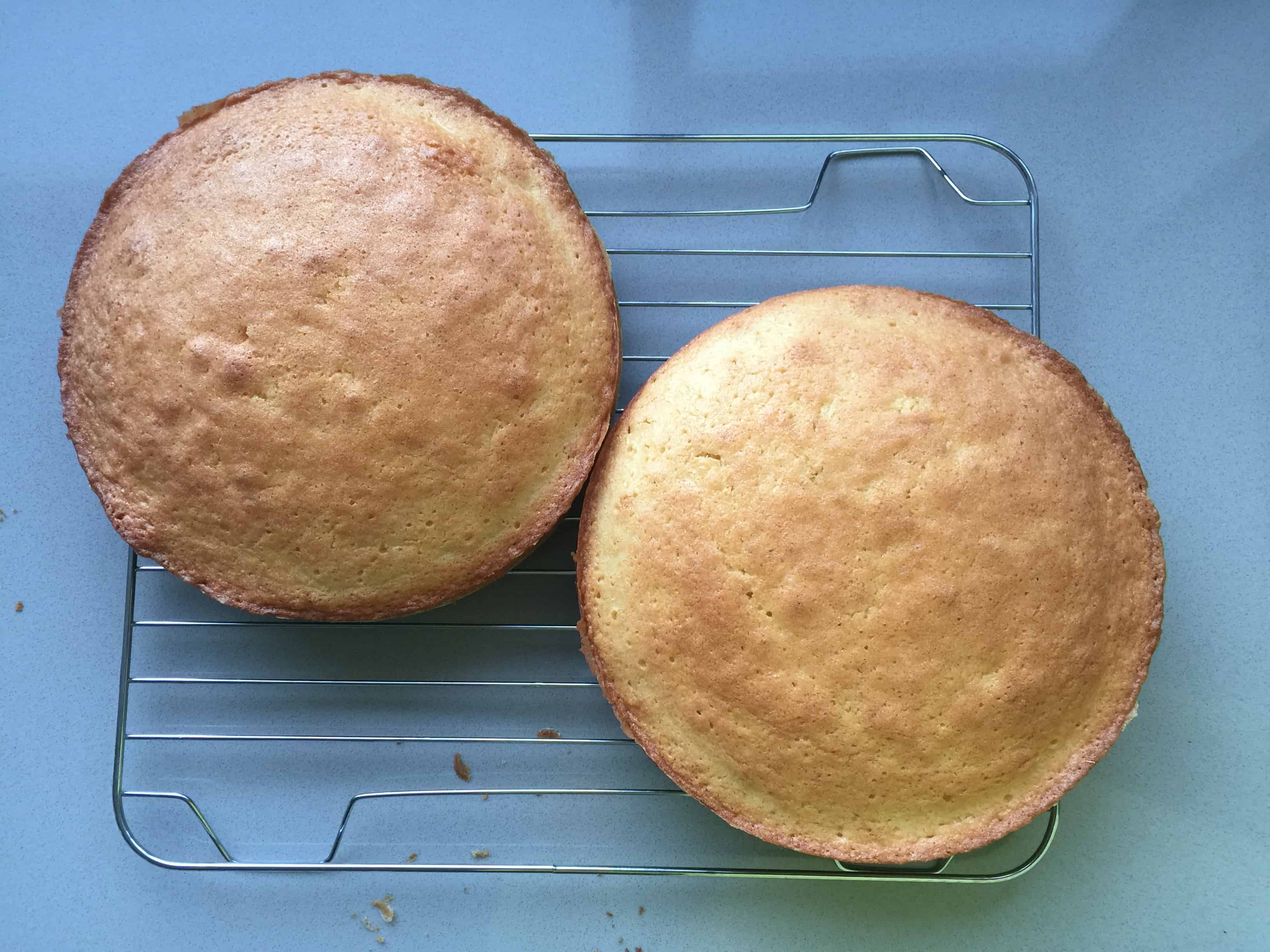 two baked sponge cakes