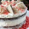 Chocolate cake with Peppermint buttercream and white chocolate peppermint squares