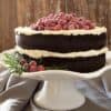 Festive Chocolate cake with white icing and sugared cranberries