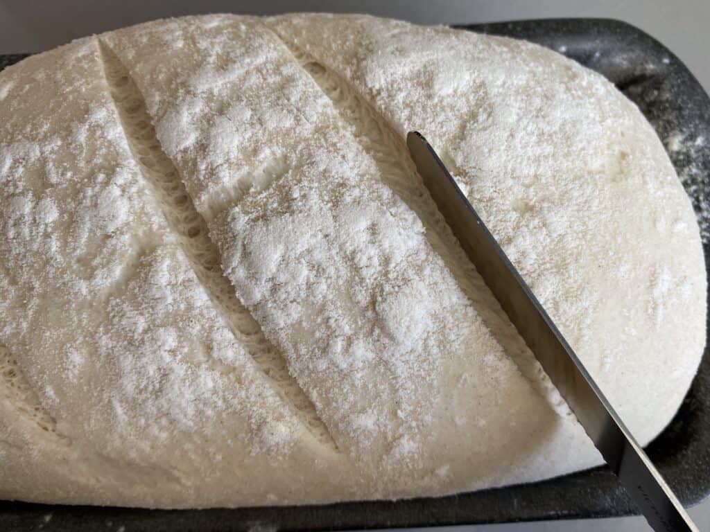 Bread dough scored with a serrated knife