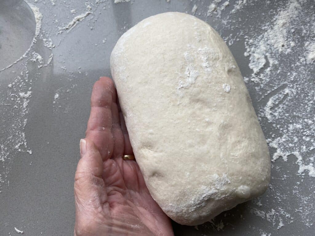 Pre shaped white Bread dough. 