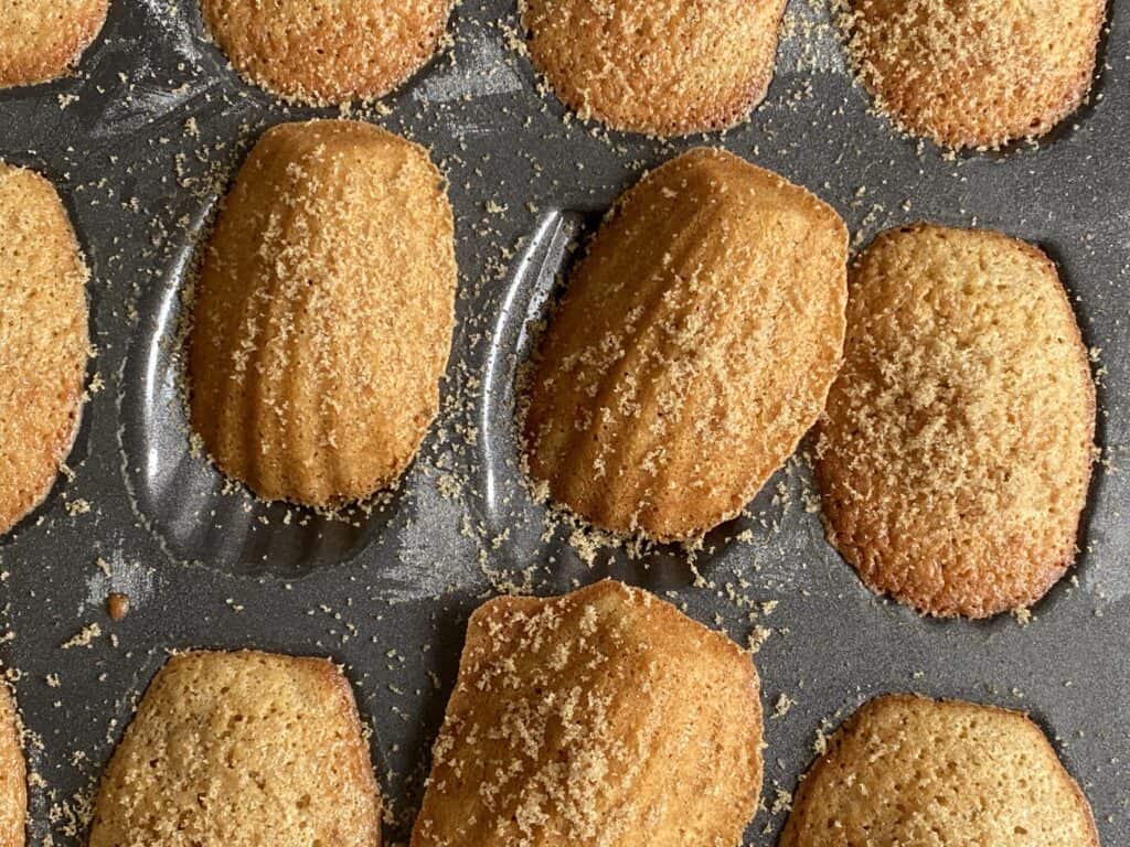 Little baked Madeleines