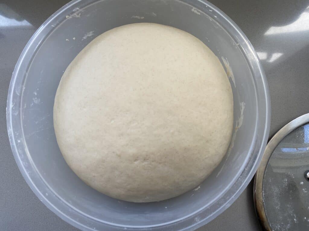 Risen white bread dough