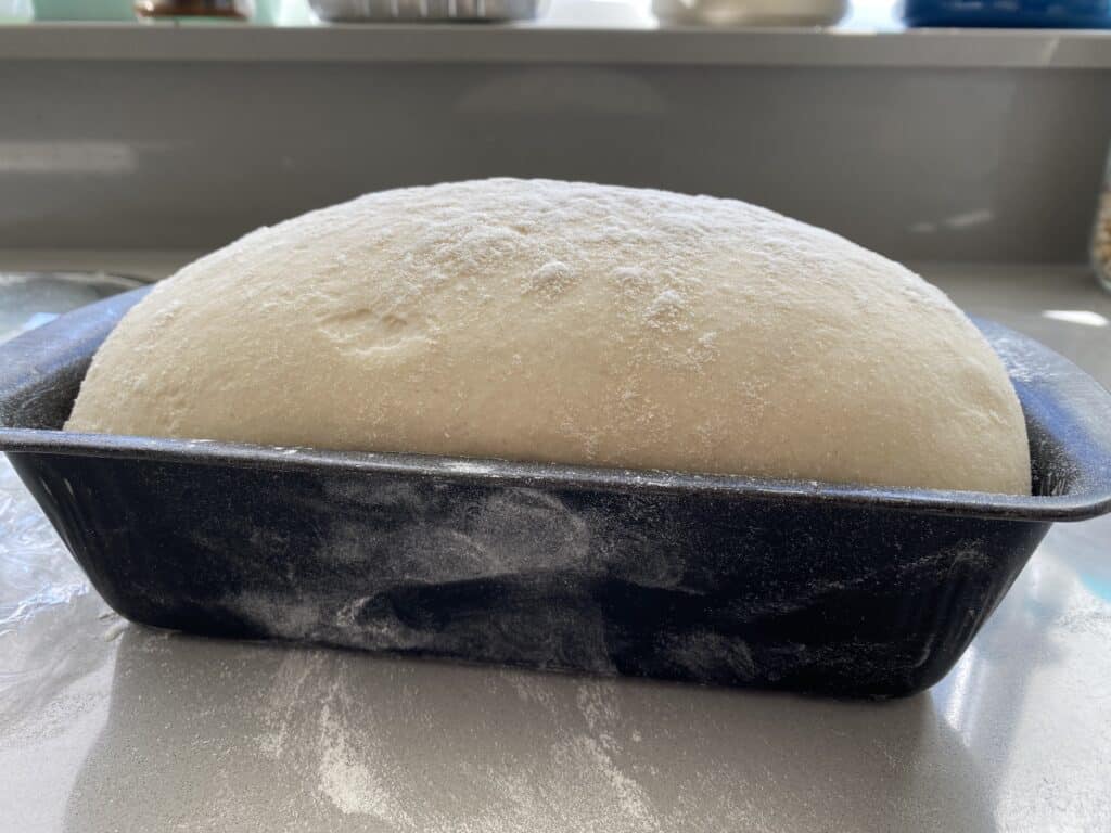 White Bread Dough in a tin