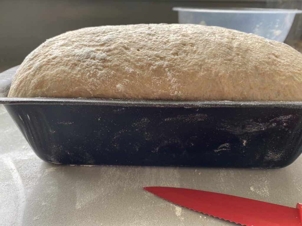 Risen bread dough in a tin