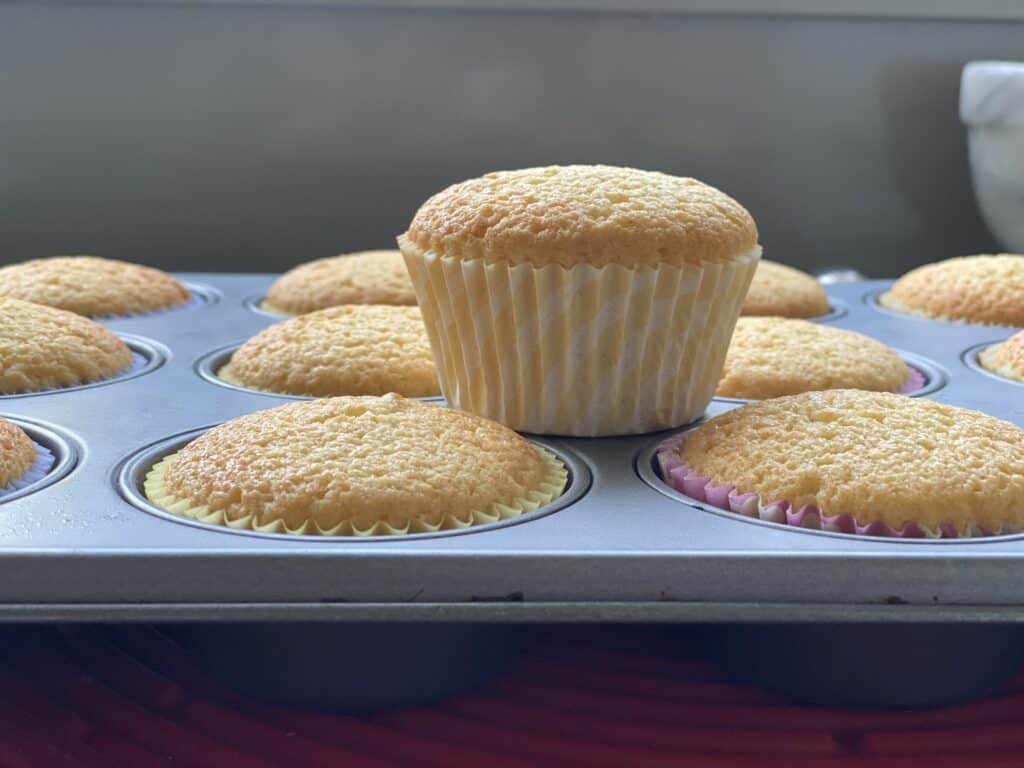 small vanilla buns on a baking tray