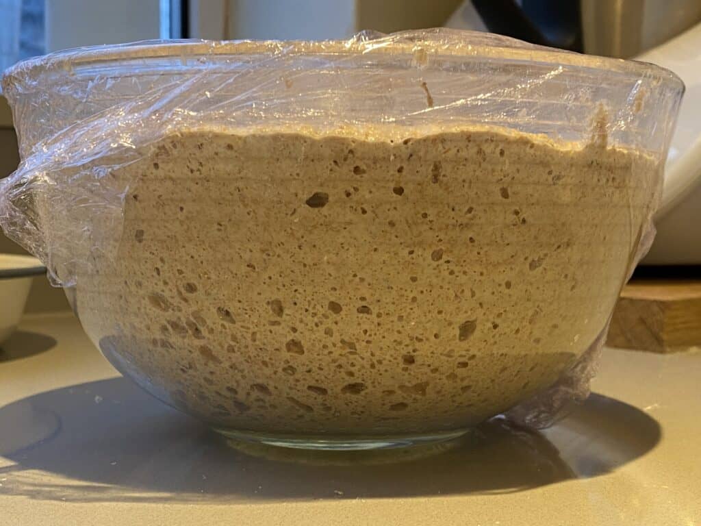 Sourdough bread dough in a clear bowl