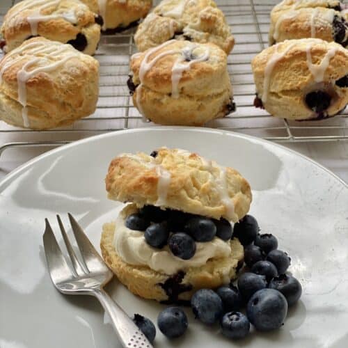 Blueberry scone with fresh fruit and cream on a white plate