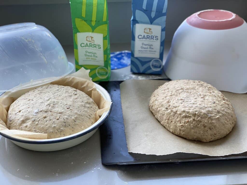 Proofed dough on baking trays